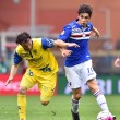 Sampdoria-Chievo: diretta live su Blitz10