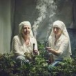 Suore coltivano marijuana: "Fumare per avvicinarsi a Dio"