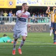 Verona-Carpi 0-1: diretta live e FOTO su Blitz