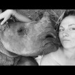 Baby rinoceronte dorme sulle gambe della veterinaria2