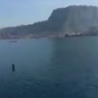 Balenottera avvistata nel golfo di Napoli5