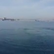 Balenottera avvistata nel golfo di Napoli