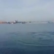 Balenottera avvistata nel golfo di Napoli2