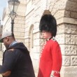 Buckingham Palace: schiaffo a guardia7