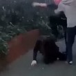 Bullismo: 15enne picchiata in strada a Leeds3