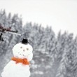 Drone con motosega per decapitare pupazzo di neve3