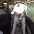 Esperimento tv: 3 cani proveranno a guidare l'aereo 4