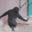 Gorilla di tre anni fa le piroette allo zoo 9