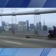 Polizia insegue chihuahua sul ponte di San Francisco2