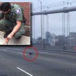Polizia insegue chihuahua sul ponte di San Francisco4