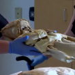 YOUTUBE Mummie misteriose: tac per scoprire causa morte 5