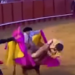 Video YouTube - Toro incorna torero nel sedere 2