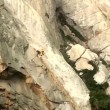 Si arrampica sul Morro Rock per proposta d'amore e..5