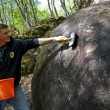 Sfera gigante "misteriosa" trovata in Bosnia3