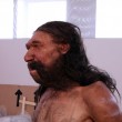 Uomo di Altamura, Neanderthal italiano: ecco com'era FOTO 2