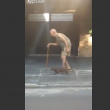 VIDEO Cane paziente, cammina vicino al suo anziano padrone 2