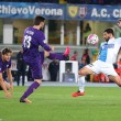 Chievo-Fiorentina 0-0: foto, highlights e pagelle_7
