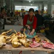 FOTO-VIDEO: Cina, cani e gatti cucinati al festival del cibo09
