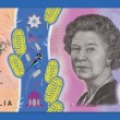 Australia, nuova banconota da 5 $ non piace: "E' disgustosa"3