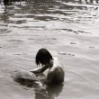 YOUTUBE Dolphin lover: l'uomo che è andato col delfino 03
