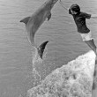 YOUTUBE Dolphin lover: l'uomo che è andato col delfino 02