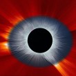 Eclisse, la spettacolare FOTO dell'occhio nell'universo