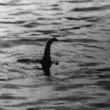 Loch Ness, mostro avvistato ma...era solo una replica FOTO 3