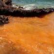 Gallipoli, mare diventa arancione per colpa delle alghe FOTO 2