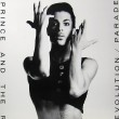 Prince, Bruce Springsteen suona Purple Rain8