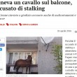 Salerno, teneva un cavallo in balcone: denunciato FOTO