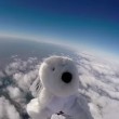 VIDEO YOUTUBE Sam, cane astronauta: lanciato 5 aprile ma... 4
