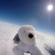 VIDEO YOUTUBE Sam, cane astronauta: lanciato 5 aprile ma... 5