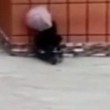 YOUTUBE Motociclista contro muro: ha ombrello ma non piove4