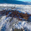 YOUTUBE Mongolia, vita da nomadi: la migrazione nella neve 2