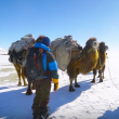 YOUTUBE Mongolia, vita da nomadi: la migrazione nella neve 5