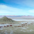 YOUTUBE Mongolia, vita da nomadi: la migrazione nella neve 9