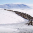 YOUTUBE Mongolia, vita da nomadi: la migrazione nella neve 10