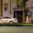 Polizia obbliga prostitute e clienti a girare nudi in strada 2