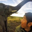 Selfie con elefante e l'animale2