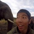 Selfie con elefante e l'animale5