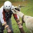 Vive un anno con le capre sulle Alpi svizzere6