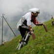 Vive un anno con le capre sulle Alpi svizzere3