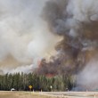 YOUTUBE Canada, incendi in Alberta: evacuati in 80mila FOTO 4