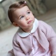 Kate Middleton mamma fotografa: Charlotte ha 1 anno, FOTO2