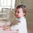 Kate Middleton mamma fotografa: Charlotte ha 1 anno, FOTO3