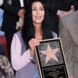 Cher compie 70 anni: auguri a icona musica Pop mondiale 6
