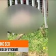 Fanno sesso su prato vicino al college in pieno giorno VIDEO 2