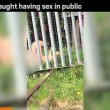 Fanno sesso su prato vicino al college in pieno giorno VIDEO 4