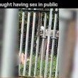 Fanno sesso su prato vicino al college in pieno giorno VIDEO 5