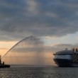 Harmony of the Seas, la nave da crociera più grande del mondo13